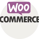 woocommerce ecommerce store seo